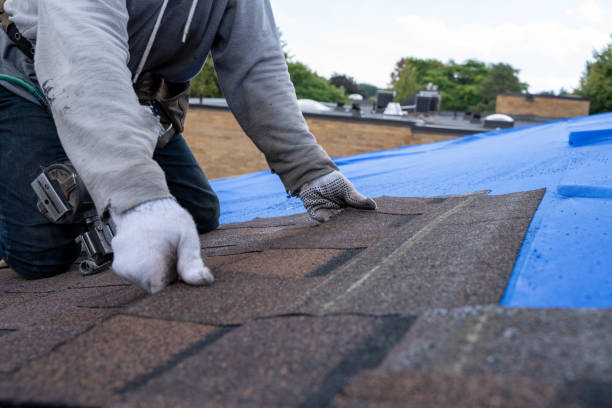 Best Roof Gutter Cleaning  in Llender, CA